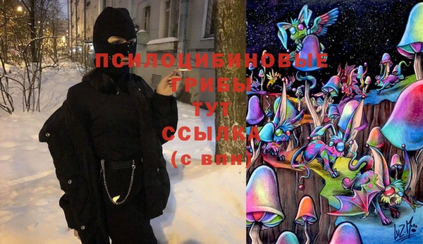 бошки Касимов